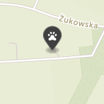 Fundacja Zielony Pies na mapie
