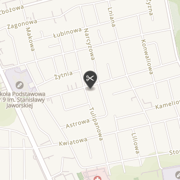 Złoty Pies na mapie