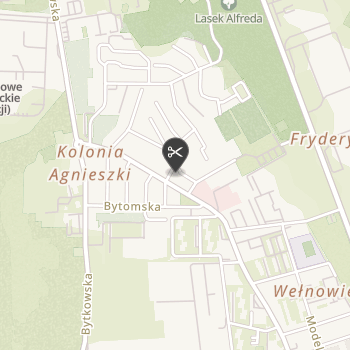 Abi – Salon Pielęgnacji Psów na mapie