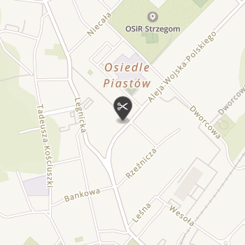 Salon Pielęgnacji Psów "Psi Urok" na mapie