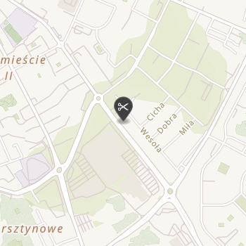 4dogs Salon Pielęgnacji Psów na mapie