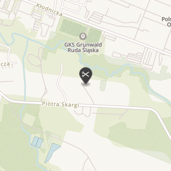 Psia Broda Pielęgnacja Zwierząt Psi Fryzjer na mapie