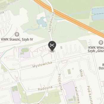 Canis Salon Fryzjerski dla Psów na mapie