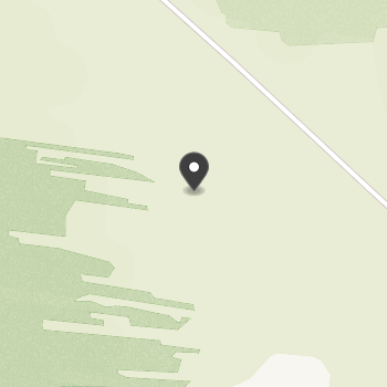 Fundacja Nasze Bezdomniaki Ewelina Madej na mapie