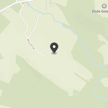 Schronisko dla Bezdomnych Zwierząt Otoz Animals w Dąbrówce na mapie