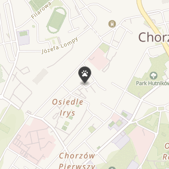 Sklep Zoologiczny na mapie