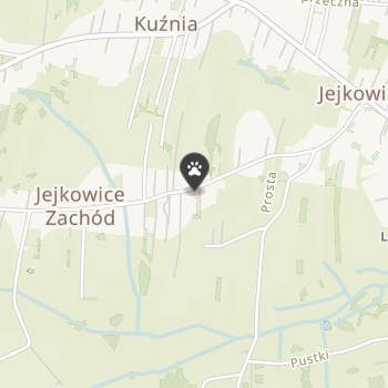 Jordan Marek. Handel Art. Zoologicznymi na mapie