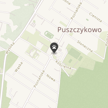 Puszczyk na mapie