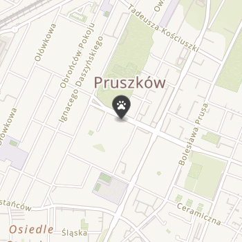 Pies Kot i Inne Zwierzaki na mapie