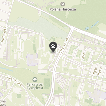 Salon Akwarystyczny Mamut na mapie