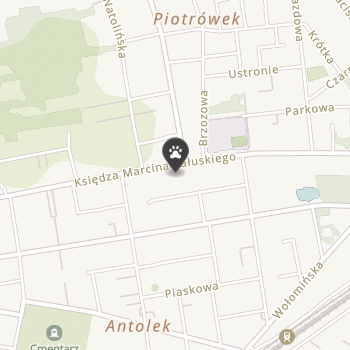 Cztery Łapy na mapie