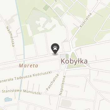 Timon na mapie
