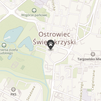 Sklep Zoologiczny Discus Bis na mapie