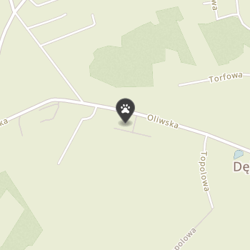 Cztery Łapy na mapie