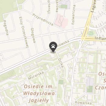 Francuski Piesek Bis na mapie