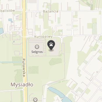 Family Pets na mapie