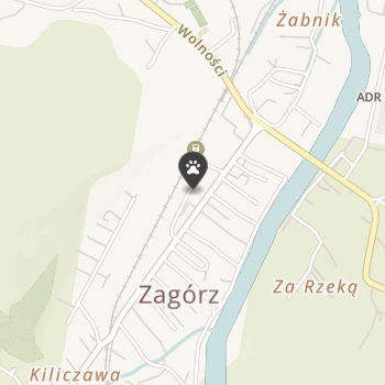 Sklep Zoologiczny na mapie