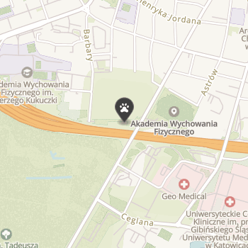 Psi Galop All About Dogs na mapie