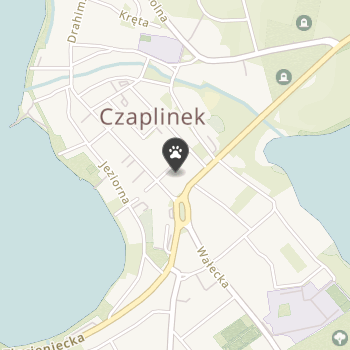 Sklep Zoologiczny na mapie