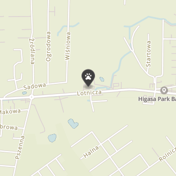 Nasze Molosy na mapie