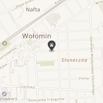 Wszystko dla Pupila na mapie