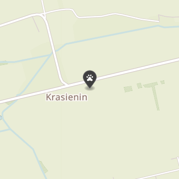 Sprzedaż Karmy dla Psów i Kotów na mapie
