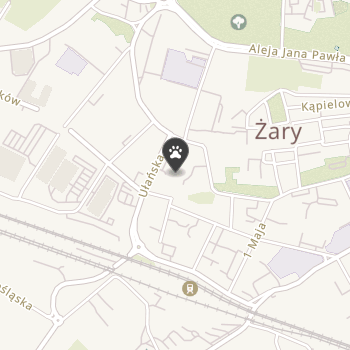 Pigo-Egzotyka na mapie