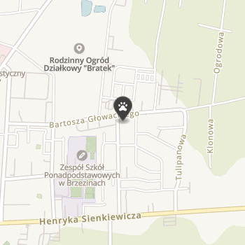 Sklep Zoologiczno-Wędkarski na mapie