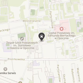 Reksio - Sklep Zoologiczno - Wędkarski na mapie