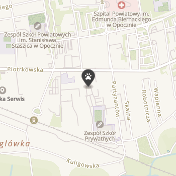 Sklep Zoologiczny na mapie