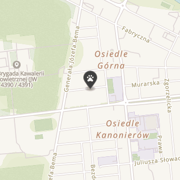 Marko Hurtownia Zoologiczna na mapie