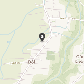 Szkoła Psiej Tresury Psieego na mapie