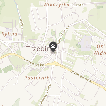 Sklep Zoologiczny na mapie