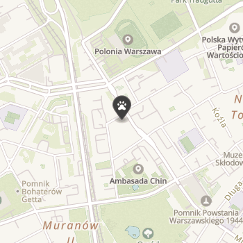 Pawsitive Dog Design na mapie