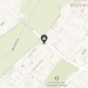 Wszystko dla Psa i Kota na mapie