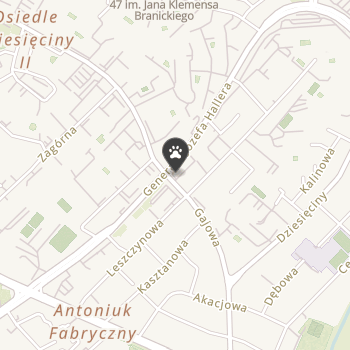 Pit Bullove na mapie