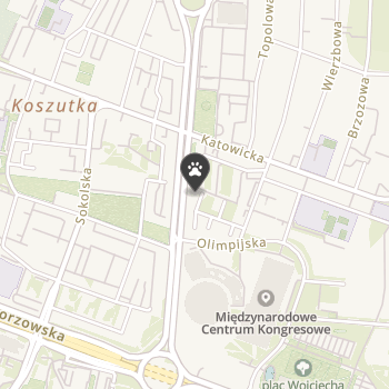 przy Spodku na mapie