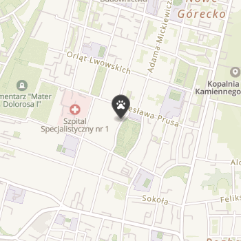 Zoo Centrum na mapie