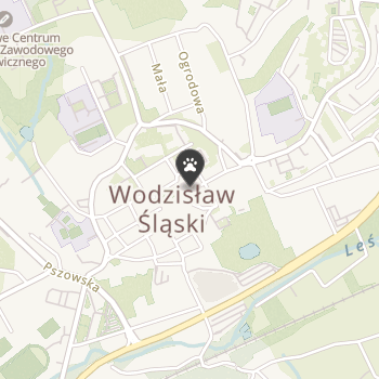 Sklep Zoologiczny na mapie