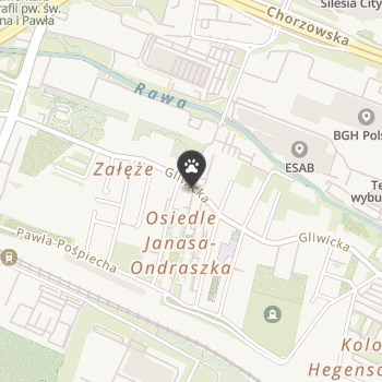 Sklep Zoologiczny na mapie