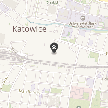 Zoologiczny na mapie