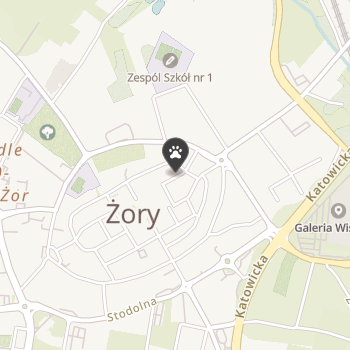 Sklep Zoologiczny na mapie