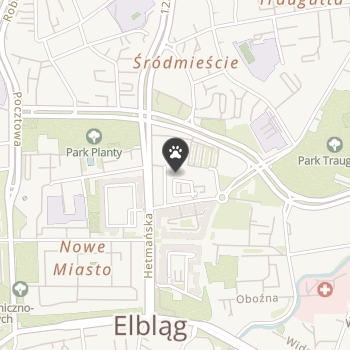 Cztery Łapy na mapie