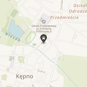 Sklep z Art. dla Zwierząt Centrum Weterynarii na mapie