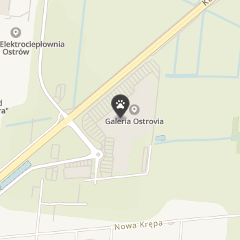 Aligator Zoo na mapie