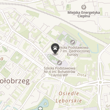 Zoologiczny na mapie