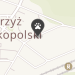 Miluś - dla Psa na mapie