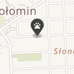 Wszystko dla Pupila na mapie