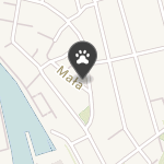 Psi Salon na mapie