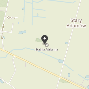 Stajnia Adrianna na mapie